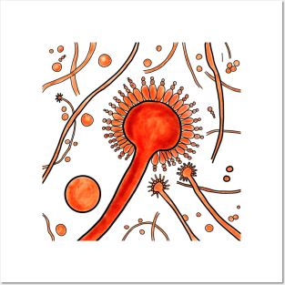 Aspergillus fungi Posters and Art